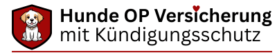 hundeopversicherung-mit-kuendigungsschutz.de
